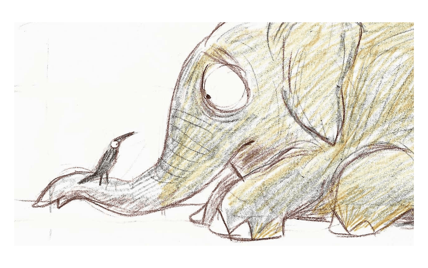 Sketch - Why the Elephant has Tiny Eyes, Tulika Books